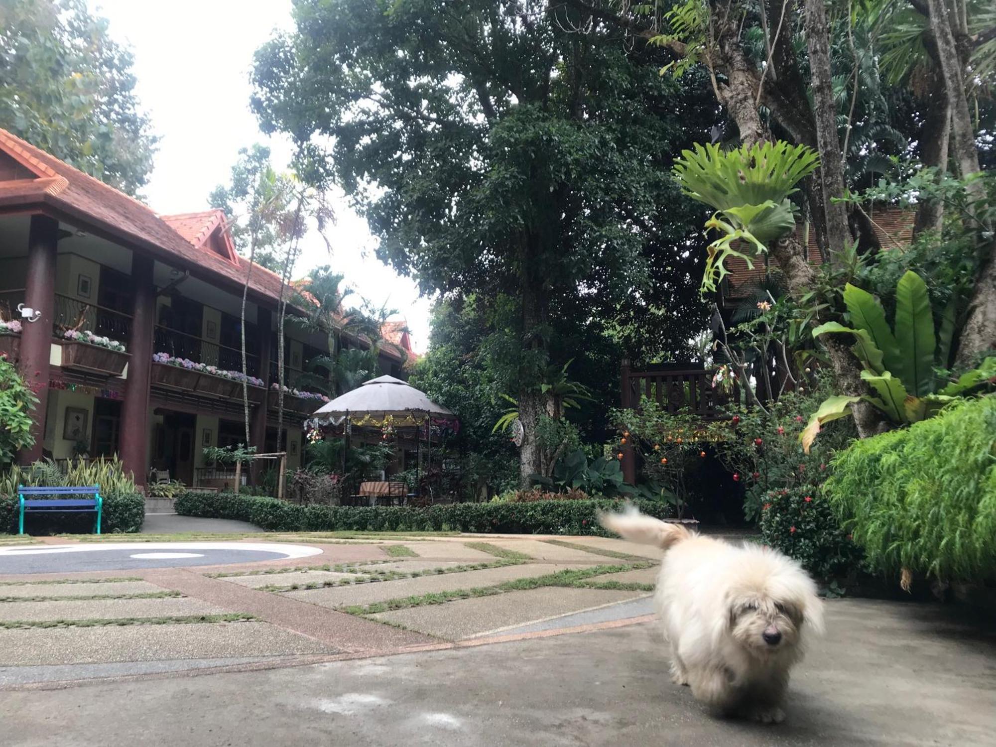 Kawila126 Hotel Chiang Mai Exterior photo